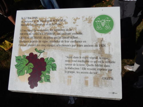Sortie en Franche-Comté et en Bourgogne: la Fruitière vinicole d'Arbois - Château Béthanie. La collection ampélographique. 