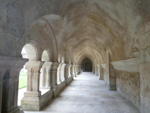 Sortie dans l'Auxerrois: Abbaye de Fontenay. Le cloître.