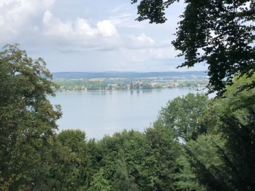 Sortie annuelle - région Constance-Thurgovie : vue sur le lac de Constance depuis le château d'Arenenberg.