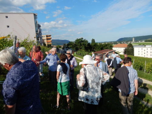 Frairie de la floraison chez Serge Divernois à Cornaux: visite des vignes.