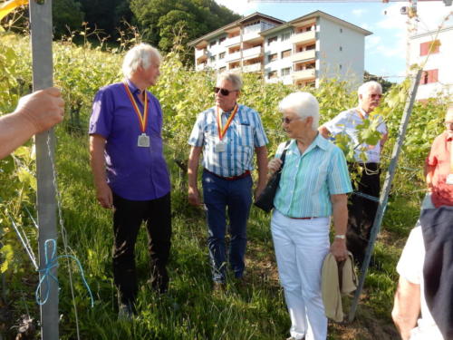 Frairie de la floraison chez Serge Divernois à Cornaux: visite des vignes.Serge Divernois, Walter et Pierrette Zwahlen, et Jean Martenet. 