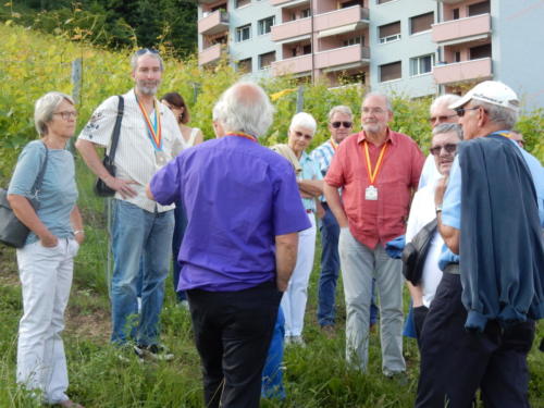 Frairie de la floraison chez Serge Divernois à Cornaux: visite des vignes.