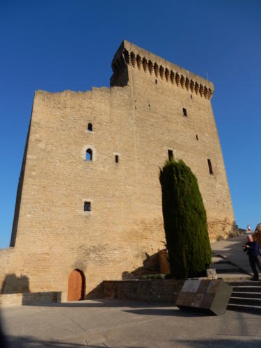 Sortie dans les Côtes-du-Rhône: le château de Châteauneuf-du-Pape.