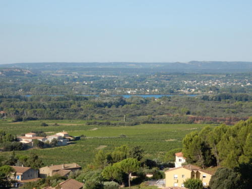 Sortie dans les Côtes-du-Rhône: vue du château de Châteauneuf-du-Pape. 