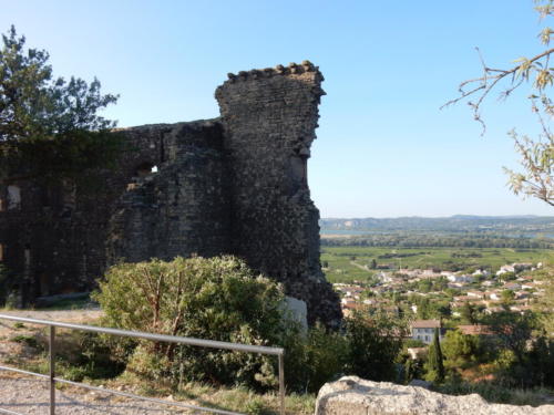 Sortie dans les Côtes-du-Rhône.