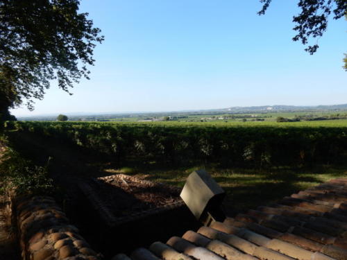 Sortie dans les Côtes-du-Rhône: vue du château de la Nerthe.