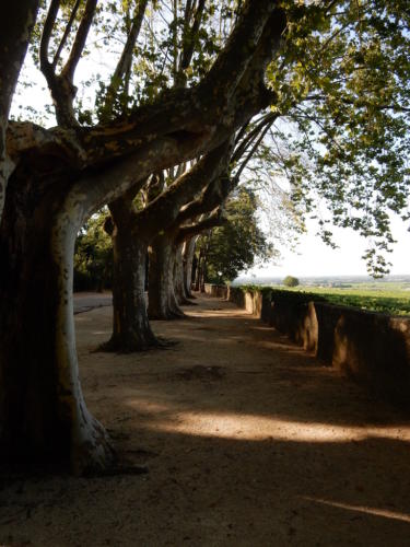 Sortie dans les Côtes-du-Rhône: château de la Nerthe.