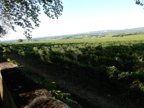 Sortie dans les Côtes-du-Rhône: vue du château de la Nerthe.