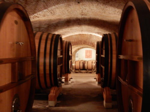 Sortie dans les Côtes-du-Rhône: la cave du château de la Nerthe.