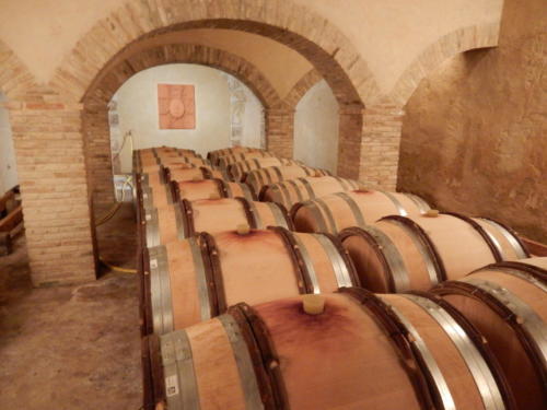 Sortie dans les Côtes-du-Rhône: la cave du château de la Nerthe.