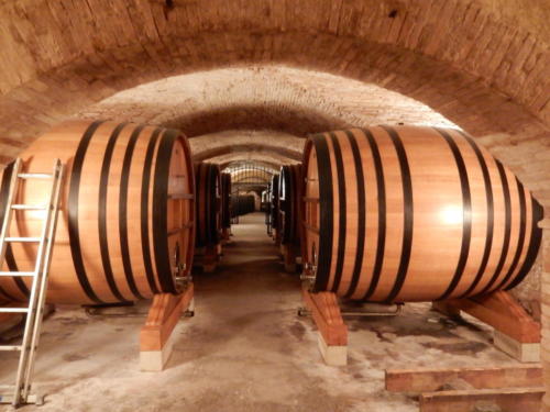 Sortie dans les Côtes-du-Rhône: la cave du château de la Nerthe.