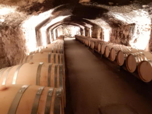 Sortie dans les Côtes-du-Rhône: la cave du château de la Nerthe.