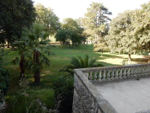 Sortie dans les Côtes-du-Rhône: château de la Nerthe - le jardin.