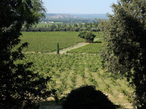 Sortie dans les Côtes-du-Rhône: vue du château de la Nerthe.