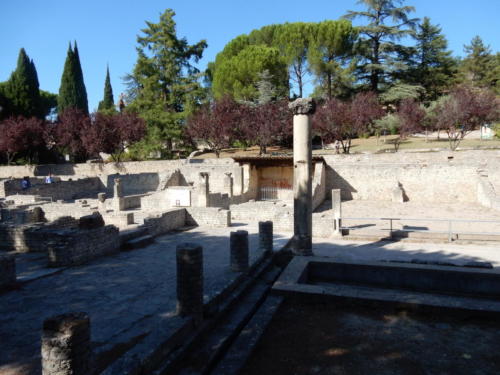 Sortie dans les Côtes-du-Rhône: Vaison-la-Romaine.