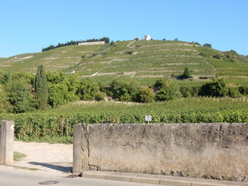 Sortie dans les Côtes-du-Rhône: domaine de Tain-l'Hermitage.