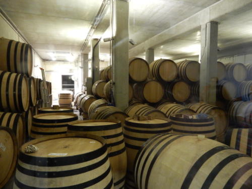 Sortie dans les Côtes-du-Rhône: la cave de Tain-l'Hermitage.