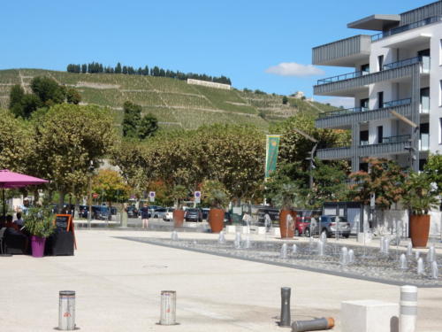 Sortie dans les Côtes-du-Rhône: Tain-l'Hermitage.