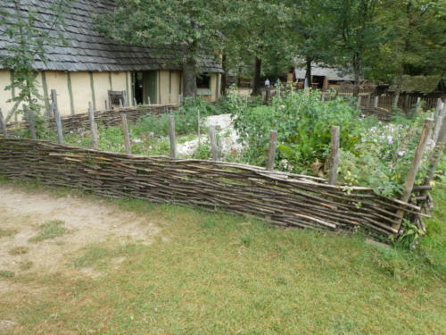 Sortie dans l'Auxerrois: Visite du chantier médiéval de Guédelon. Le potager médiéval.