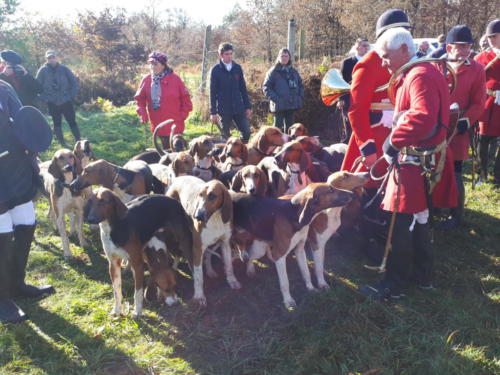 Chapitre de la Confrérie de la Faisanderie, à Sully-sur-Loire: La rencontre conviviale du samedi matin dans la forêt d'Orléans, suivie d'une chasse à courre.