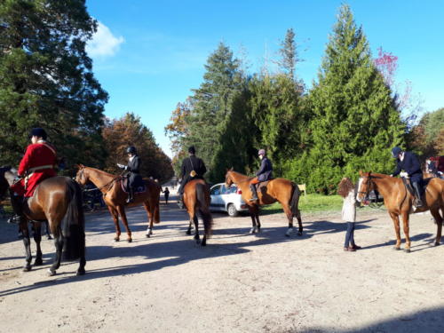 Chapitre de la Confrérie de la Faisanderie, à Sully-sur-Loire: La rencontre conviviale du samedi matin dans la forêt d'Orléans, suivie d'une chasse à courre.