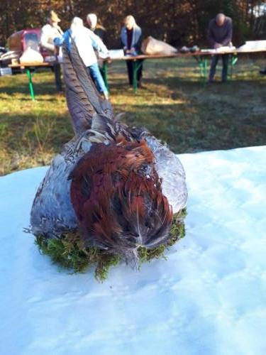 Chapitre de la Confrérie de la Faisanderie, à Sully-sur-Loire: La rencontre conviviale du samedi matin dans la forêt d'Orléans, suivie d'une chasse à courre.