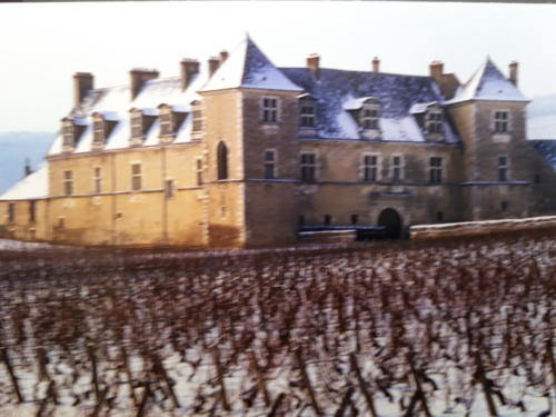 Sortie en Franche-Comté et en Bourgogne: le château du Clos de Vougeot.