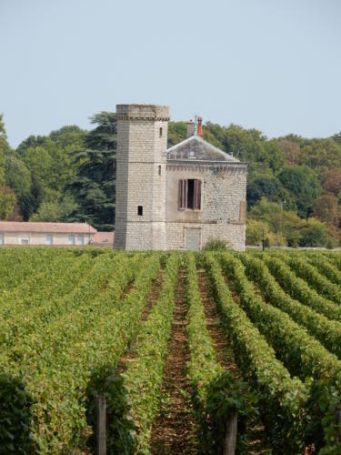 Sortie en Franche-Comté et en Bourgogne: visite du château du Clos de Vougeot.